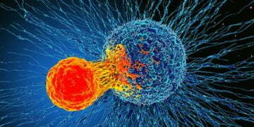 Business corridor-of-famer thriving through breast cancer