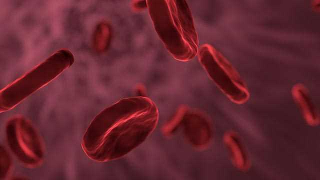 Tom Long Opens Up On Life-Or-Death Battle With Blood Cancer