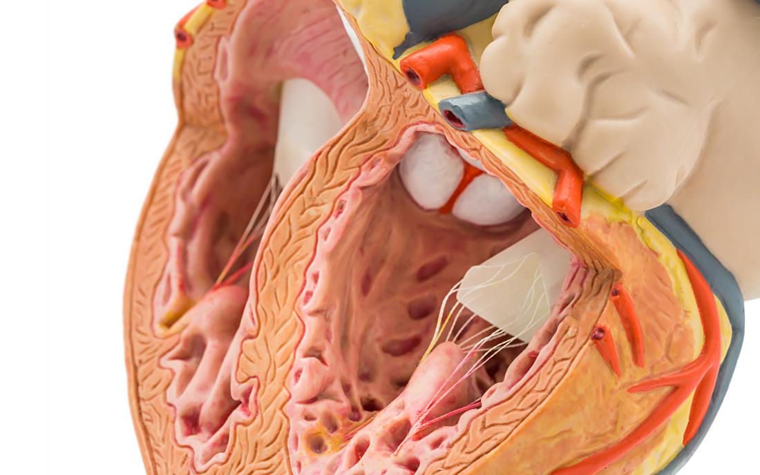 Both blood strain numbers might also predict heart disorder