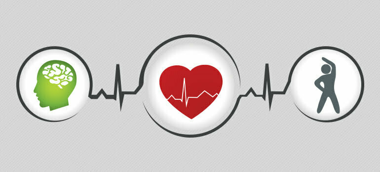 Butterfly Populations Reflect Health of Wetlands