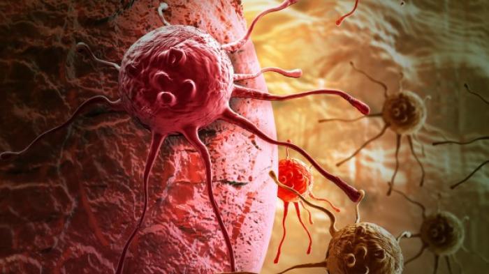 How a 6,000-Year-Old Dog Cancer Spread Around the World