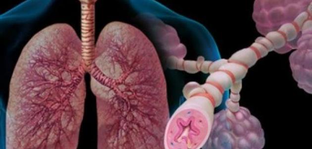 Foods which could help lessen signs of Asthma